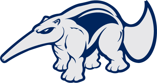 California-Irvine Anteaters 1991-2008 Mascot Logo diy DTF decal sticker